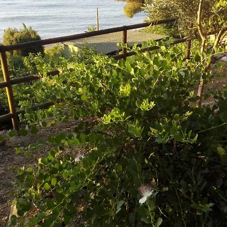 Alba Marina *